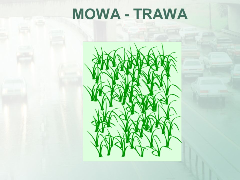 MOWA - TRAWA