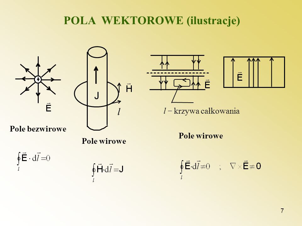 POLA WEKTOROWE (ilustracje)