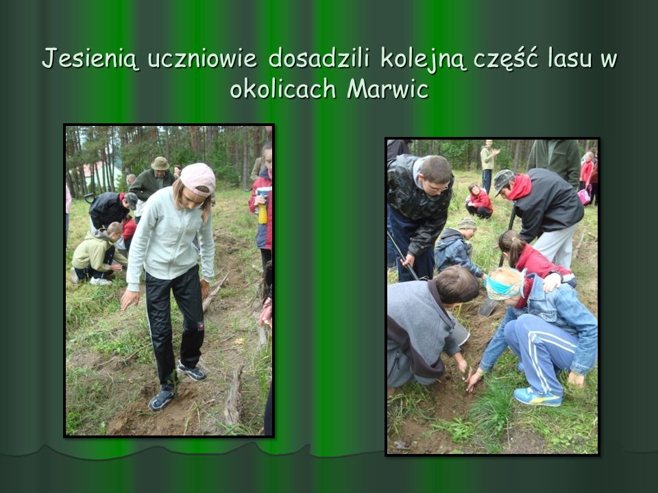 Jesienią uczniowie dosadzili kolejną część lasu w okolicach Marwic
