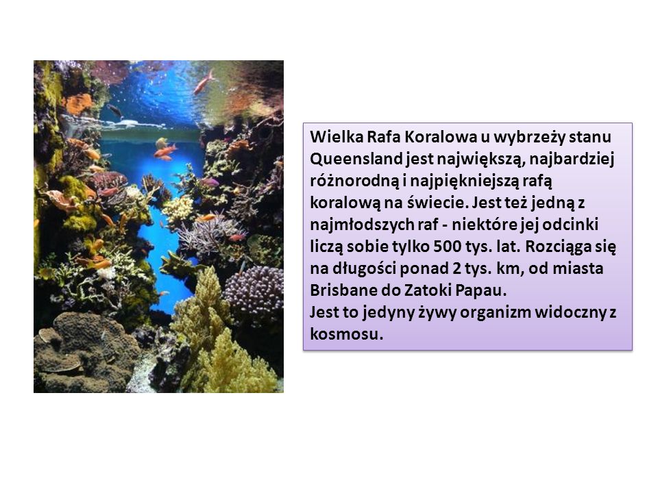 Wielka Rafa Koralowa u wybrzeży stanu Queensland jest największą, najbardziej różnorodną i najpiękniejszą rafą koralową na świecie. Jest też jedną z najmłodszych raf - niektóre jej odcinki liczą sobie tylko 500 tys. lat. Rozciąga się na długości ponad 2 tys. km, od miasta Brisbane do Zatoki Papau.