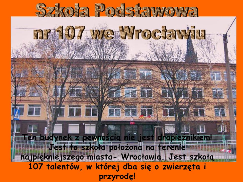 Szkoła Podstawowa nr 107 we Wrocławiu