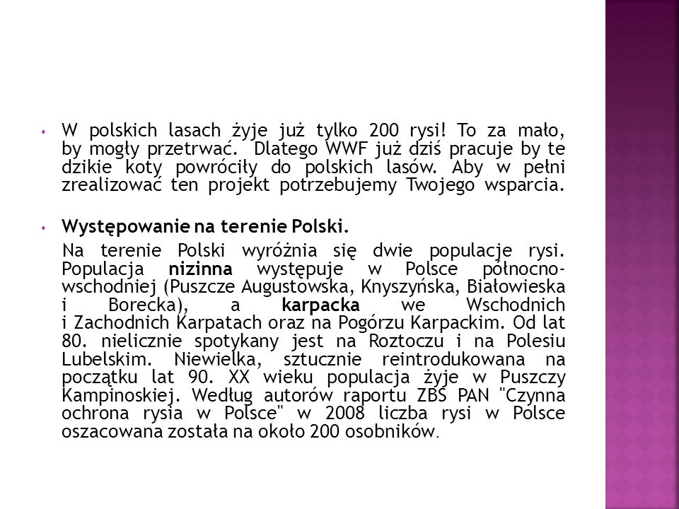 W polskich lasach żyje już tylko 200 rysi