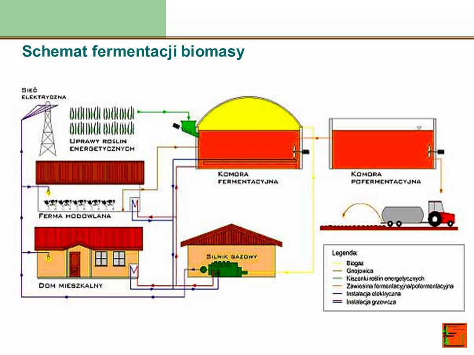 Schemat fermentacji biomasy