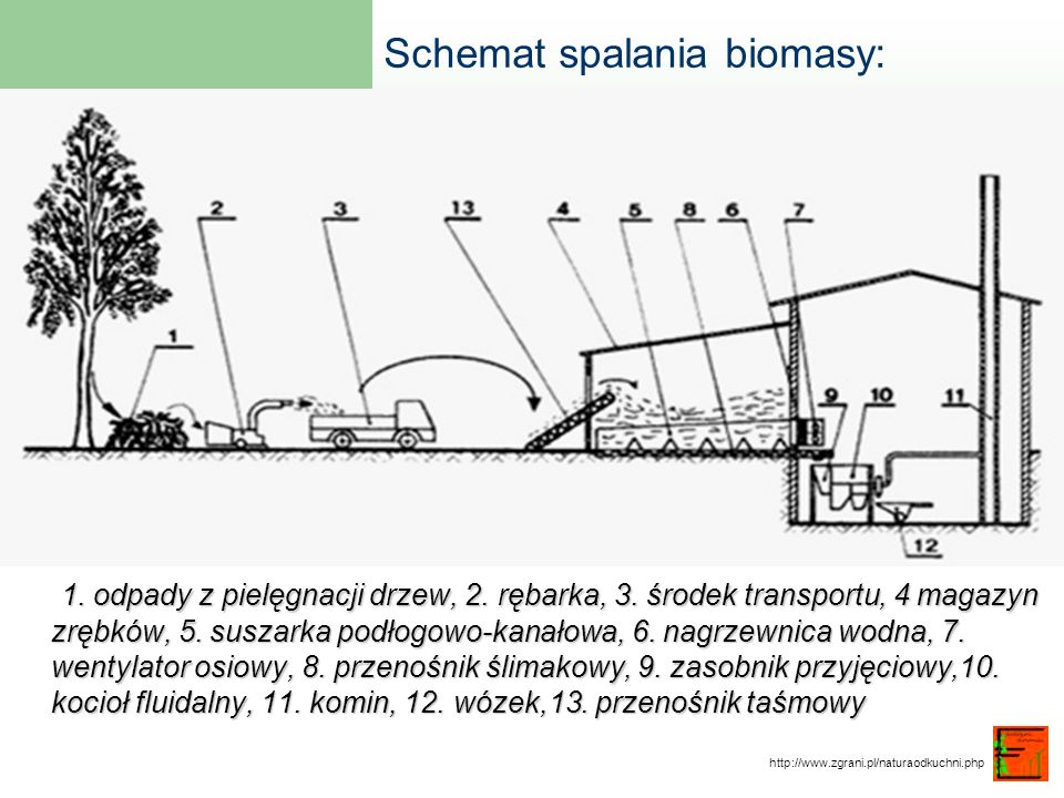 Schemat spalania biomasy:
