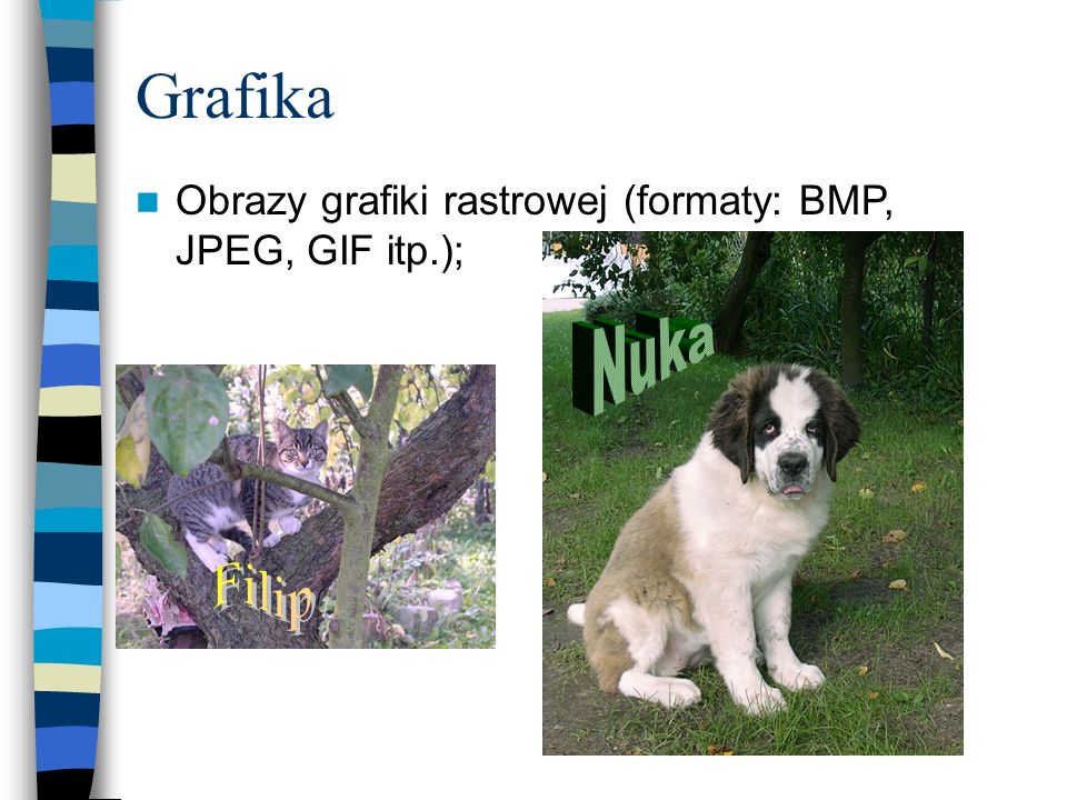 Grafika Nuka Obrazy grafiki rastrowej (formaty: BMP, JPEG, GIF itp.);