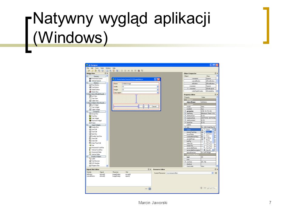 Natywny wygląd aplikacji (Windows)
