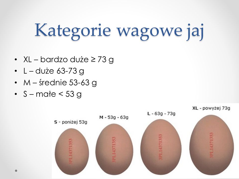 Kategorie wagowe jaj XL – bardzo duże ≥ 73 g L – duże g