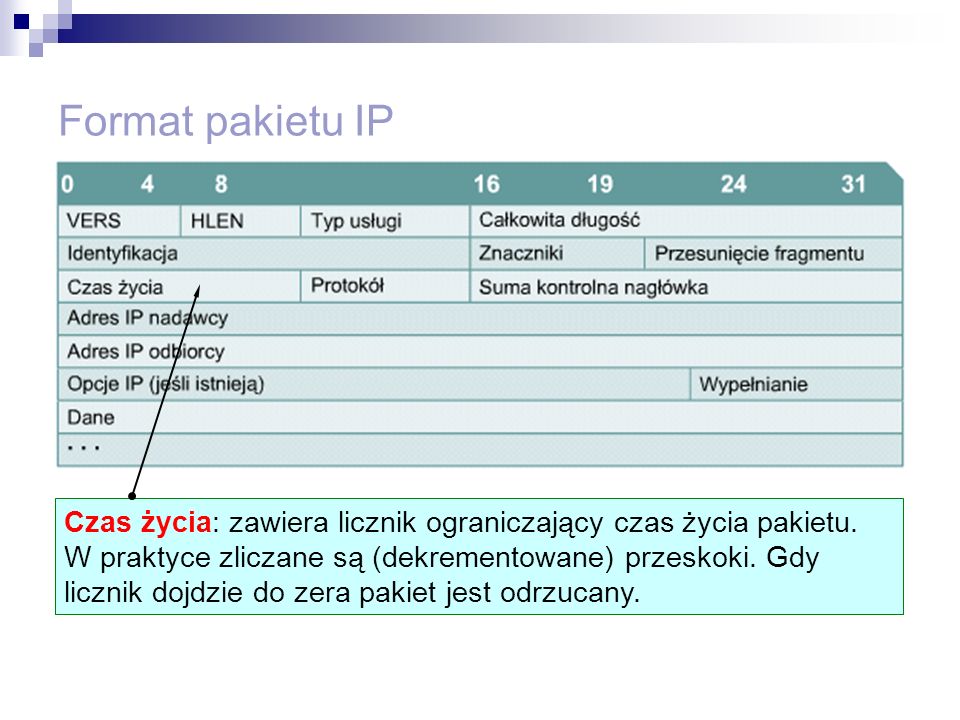 Format pakietu IP