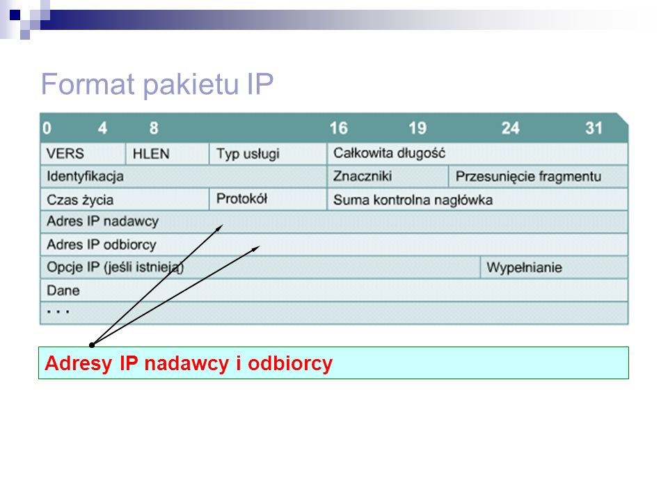 Format pakietu IP Adresy IP nadawcy i odbiorcy