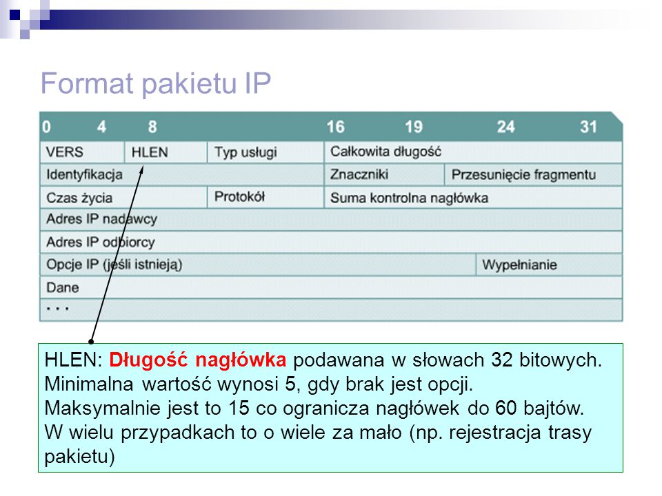 Format pakietu IP