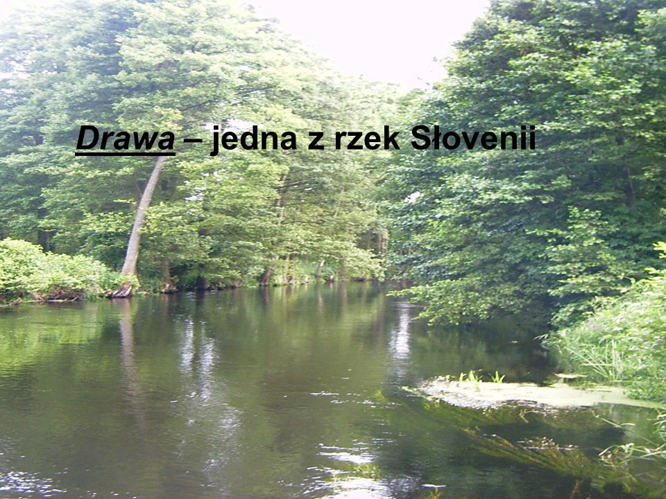 Drawa – jedna z rzek Słovenii
