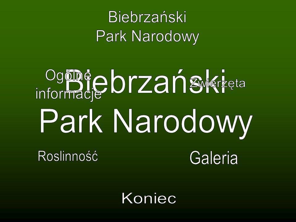 Biebrzański Park Narodowy. Ogólne. informacje. Biebrzański. Park Narodowy. Zwierzęta. Roslinność.