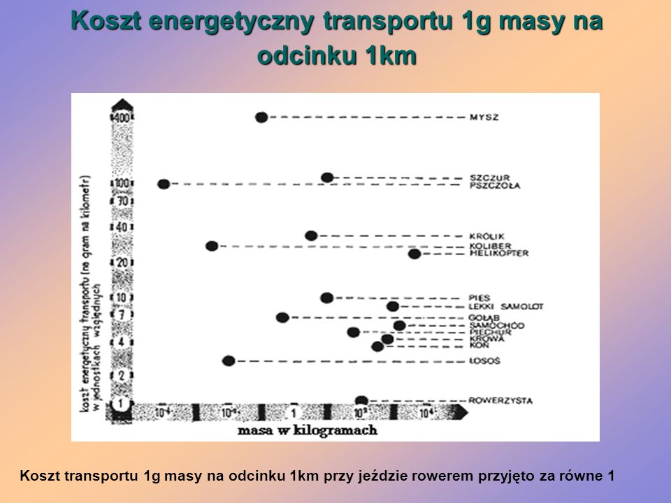 Koszt energetyczny transportu 1g masy na odcinku 1km