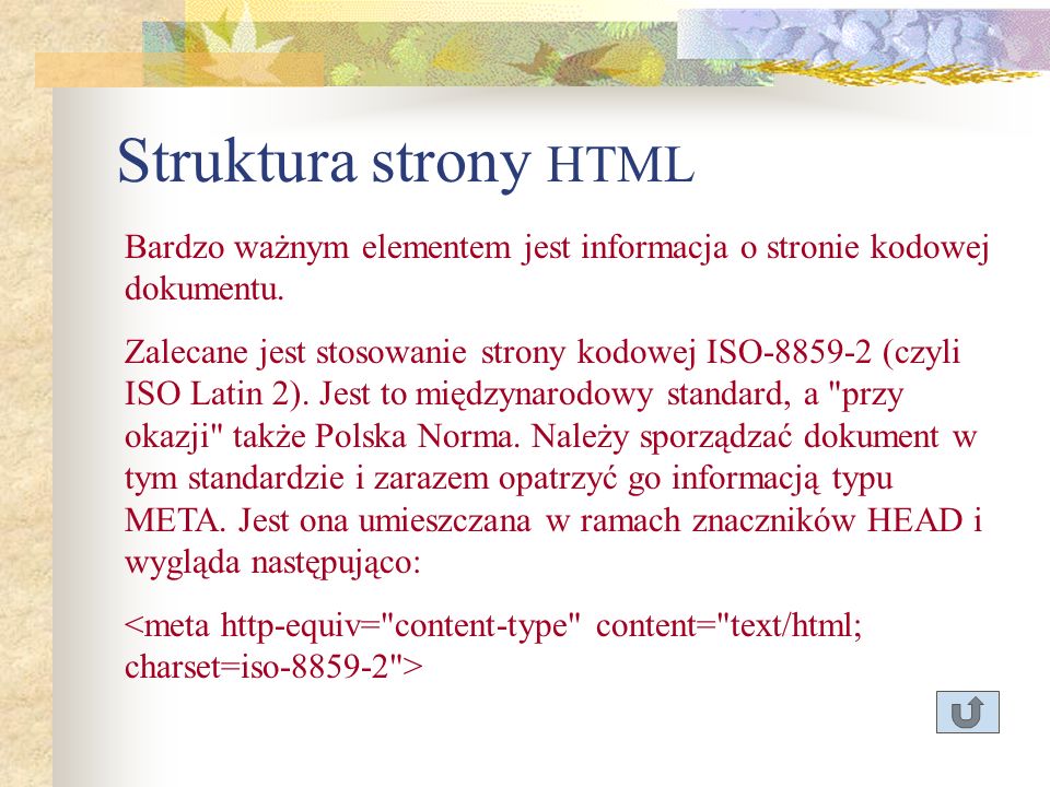 Struktura strony HTML Bardzo ważnym elementem jest informacja o stronie kodowej dokumentu.