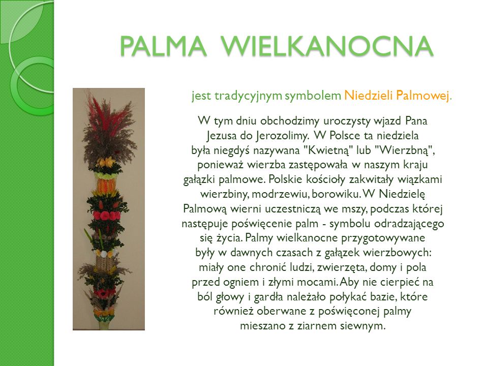 PALMA WIELKANOCNA jest tradycyjnym symbolem Niedzieli Palmowej.