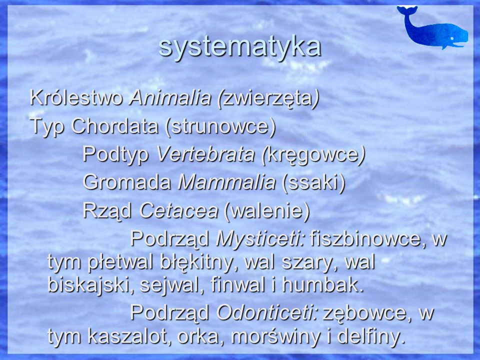 systematyka Królestwo Animalia (zwierzęta) Typ Chordata (strunowce)