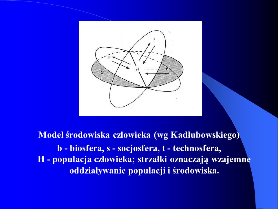 Model środowiska człowieka (wg Kadłubowskiego)