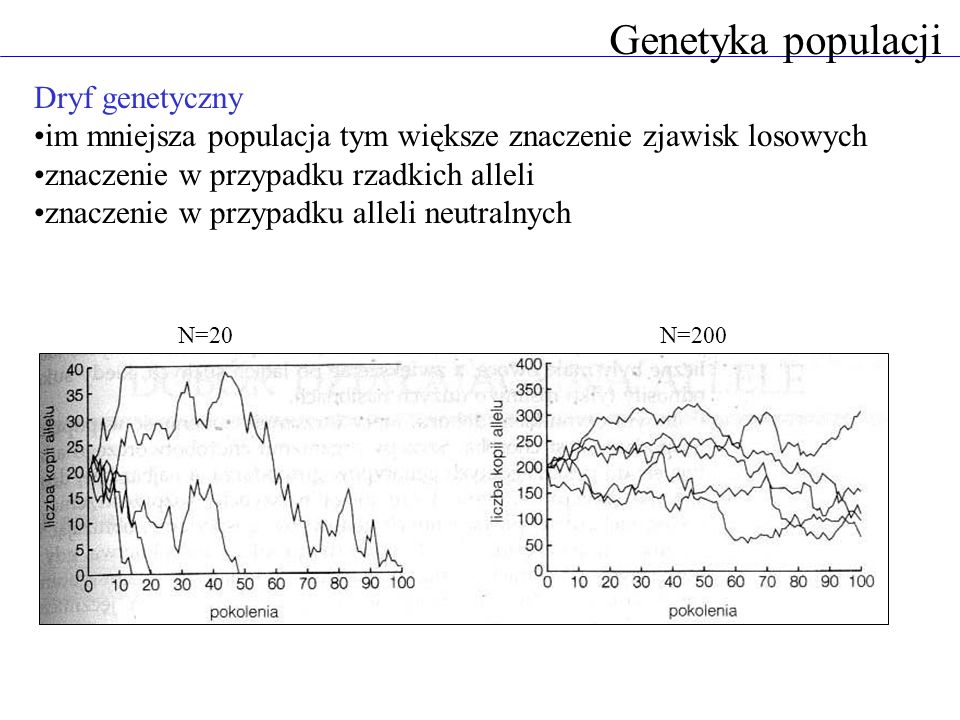 Genetyka populacji Dryf genetyczny