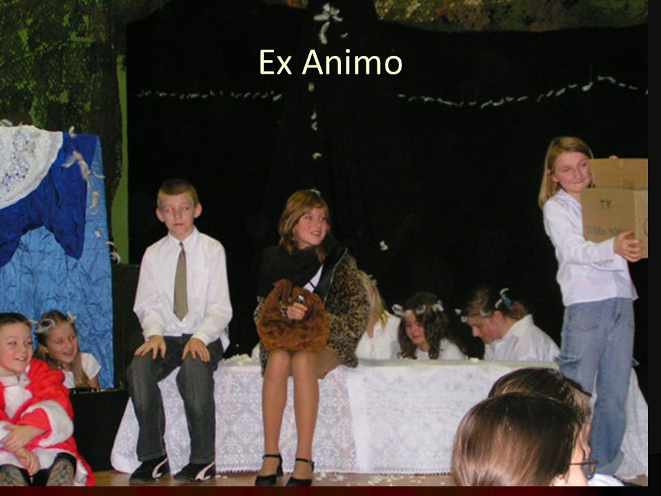 Ex Animo