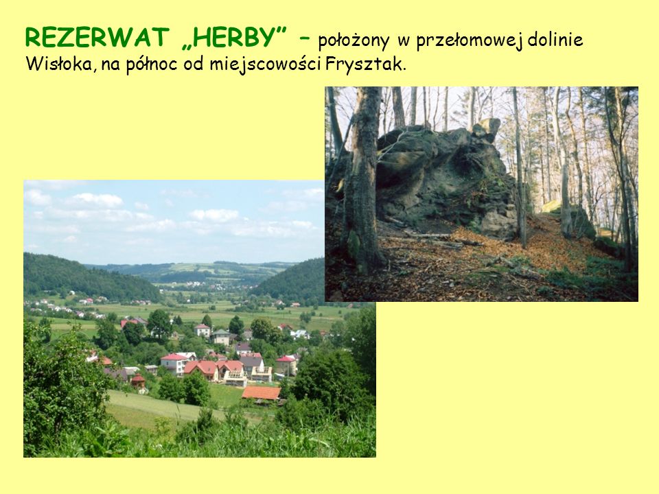 REZERWAT „HERBY – położony w przełomowej dolinie Wisłoka, na północ od miejscowości Frysztak.