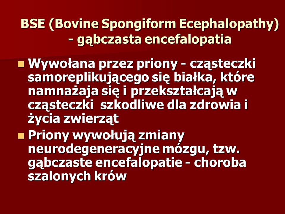 BSE (Bovine Spongiform Ecephalopathy) - gąbczasta encefalopatia