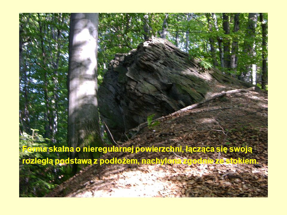 Forma skalna o nieregularnej powierzchni, łącząca się swoją rozległą podstawą z podłożem, nachylona zgodnie ze stokiem.