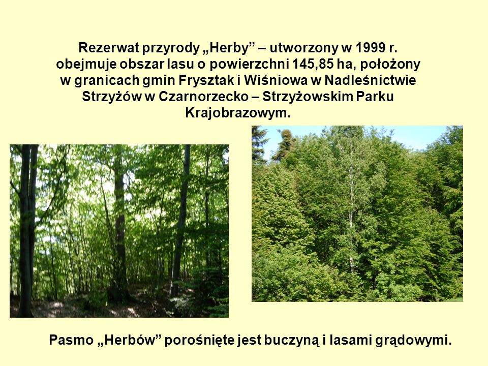 Rezerwat przyrody „Herby – utworzony w 1999 r