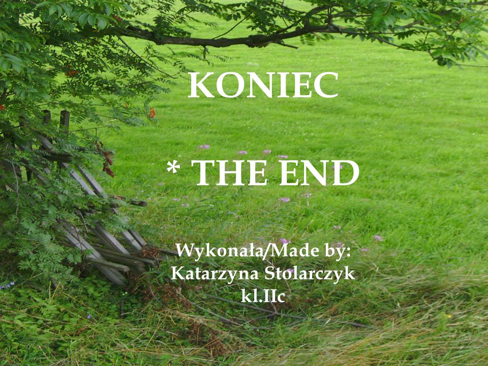 KONIEC * THE END Wykonała/Made by: Katarzyna Stolarczyk kl.IIc
