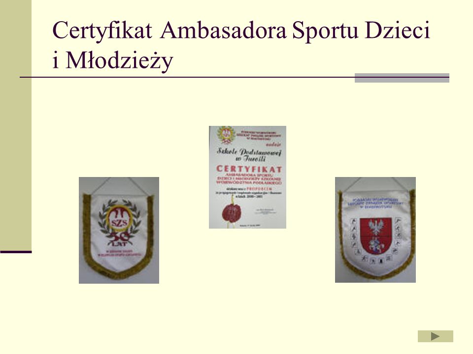 Certyfikat Ambasadora Sportu Dzieci i Młodzieży