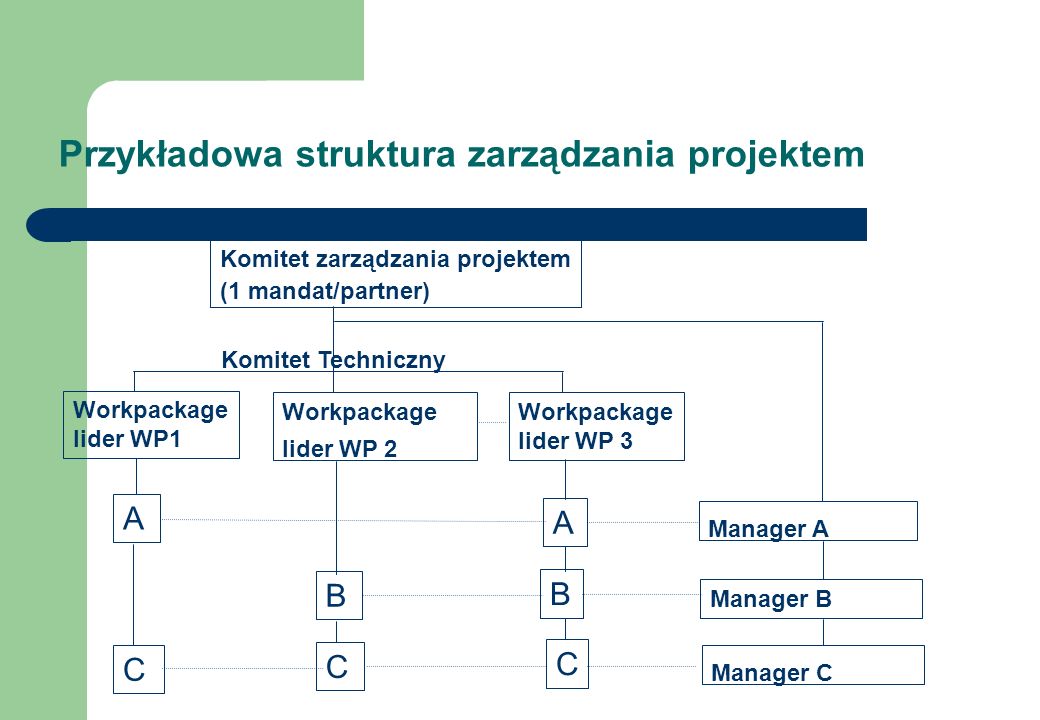 Przykładowa struktura zarządzania projektem