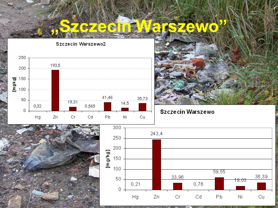 „Szczecin Warszewo