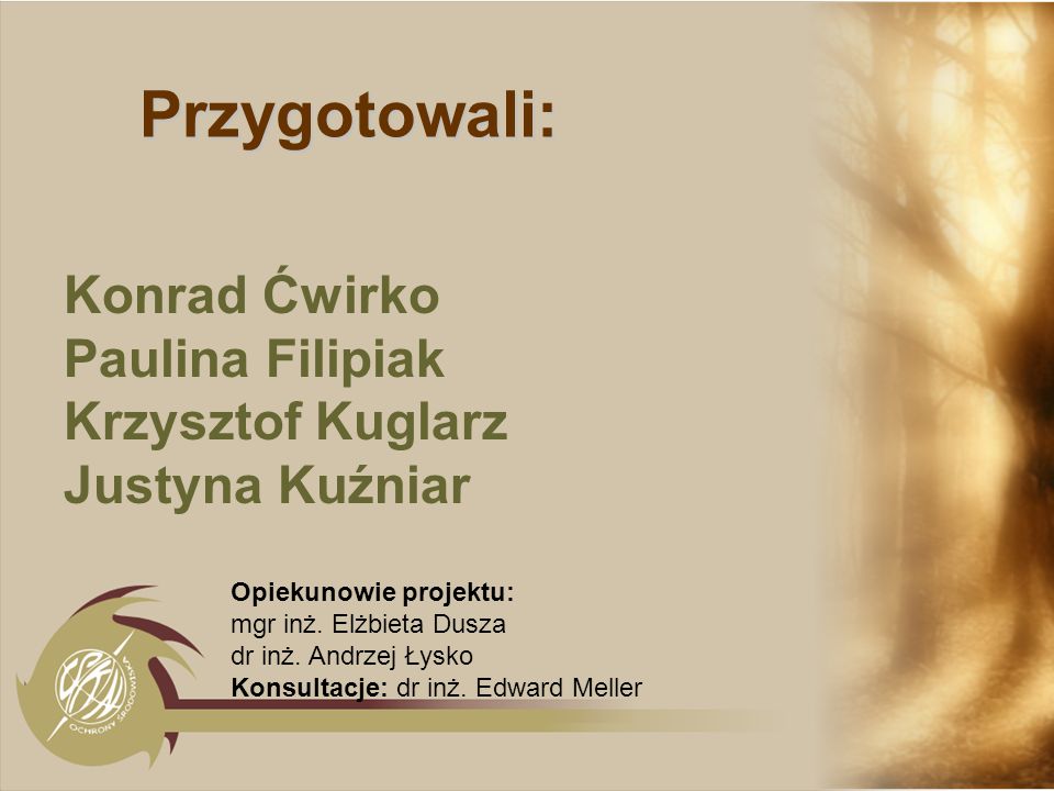 Przygotowali: Konrad Ćwirko Paulina Filipiak Krzysztof Kuglarz