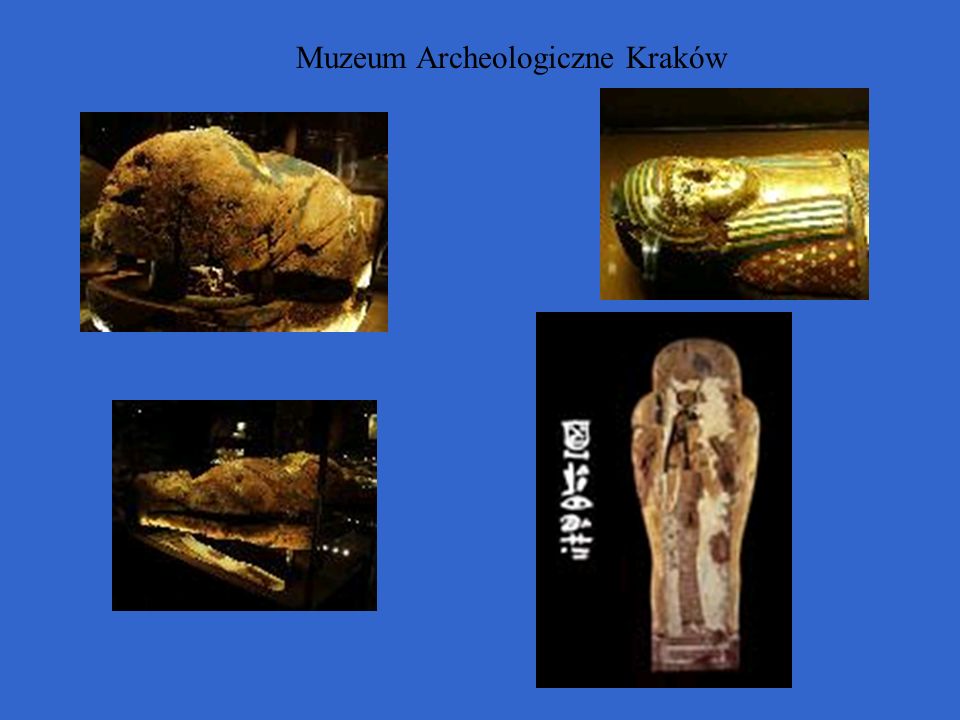 Muzeum Archeologiczne Kraków