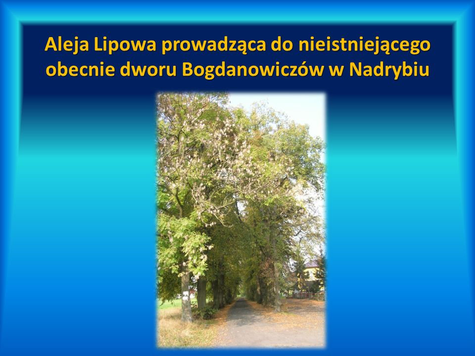 Aleja Lipowa prowadząca do nieistniejącego obecnie dworu Bogdanowiczów w Nadrybiu