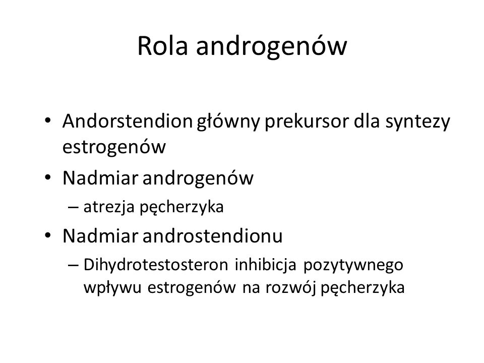 Rola androgenów Andorstendion główny prekursor dla syntezy estrogenów