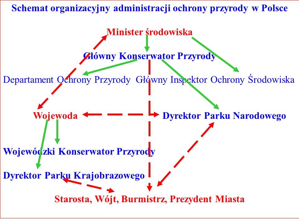 Schemat organizacyjny administracji ochrony przyrody w Polsce