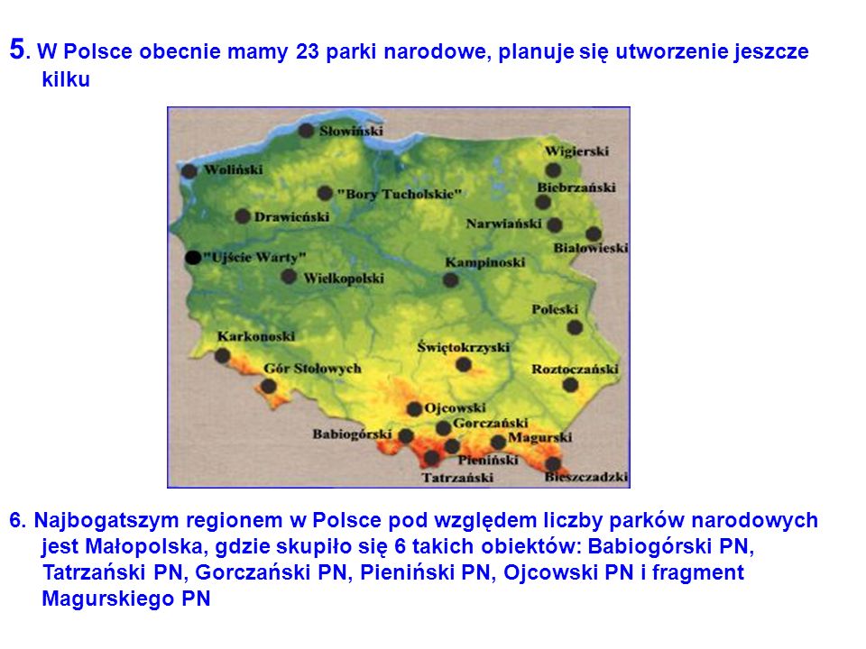 5. W Polsce obecnie mamy 23 parki narodowe, planuje się utworzenie jeszcze kilku
