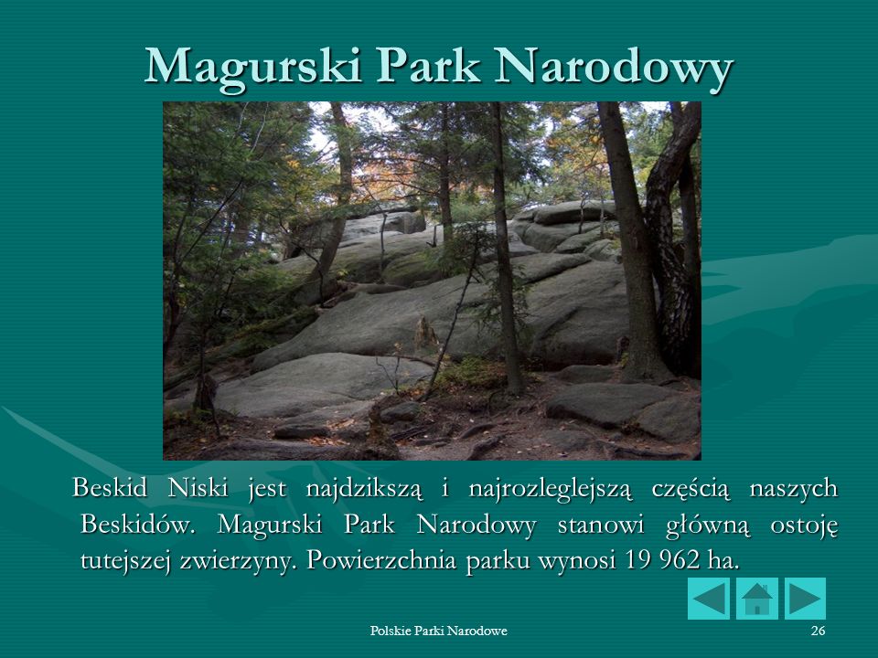 Magurski Park Narodowy