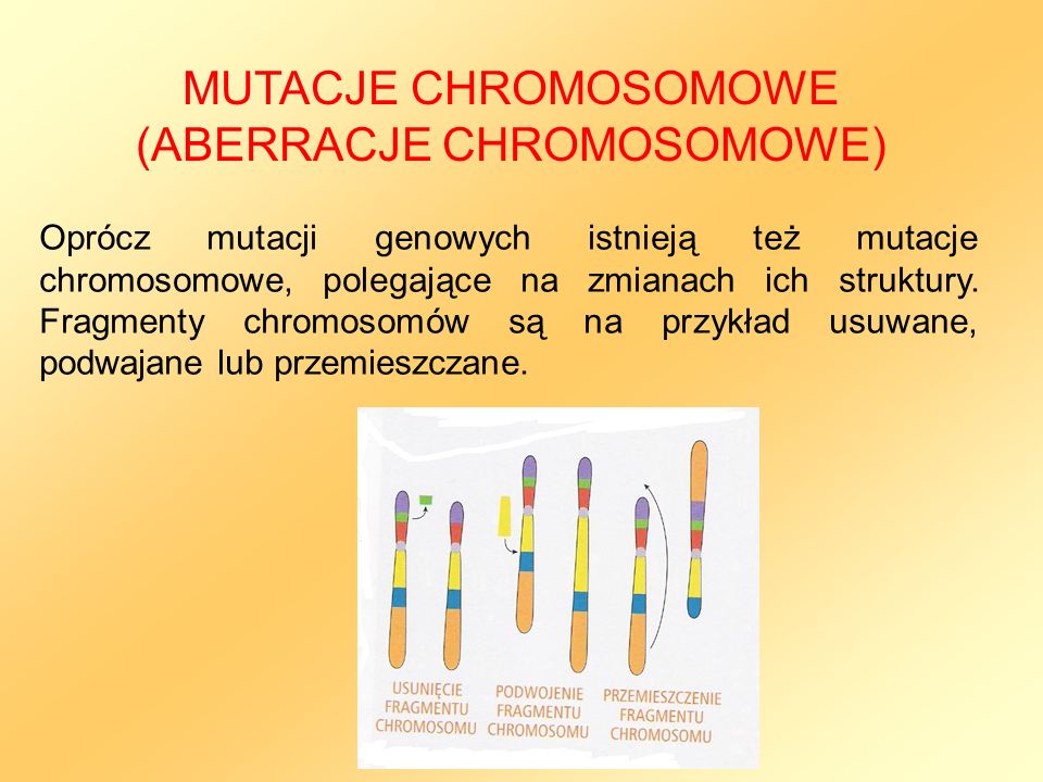 MUTACJE CHROMOSOMOWE (ABERRACJE CHROMOSOMOWE)