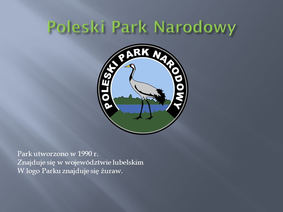 Poleski Park Narodowy Park utworzono w 1990 r.