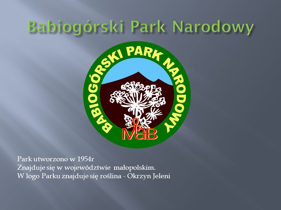 Babiogórski Park Narodowy