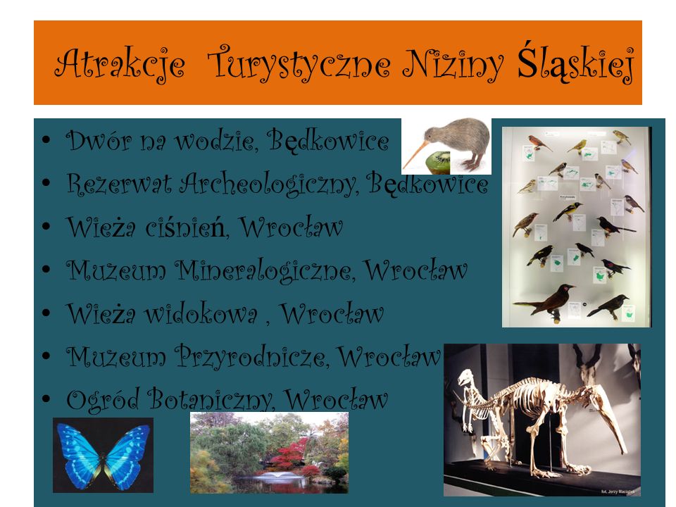 Atrakcje Turystyczne Niziny Śląskiej