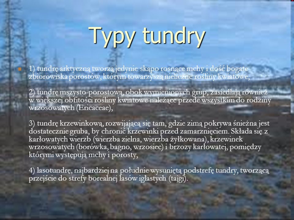 Typy tundry