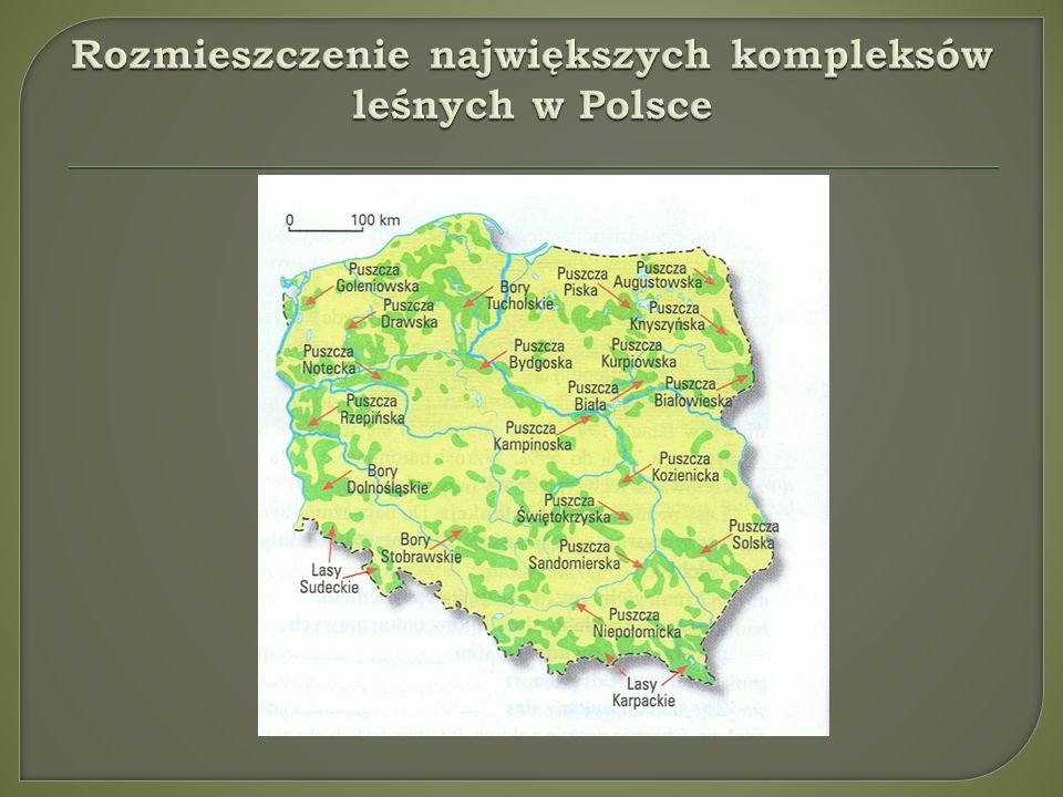 Rozmieszczenie największych kompleksów leśnych w Polsce