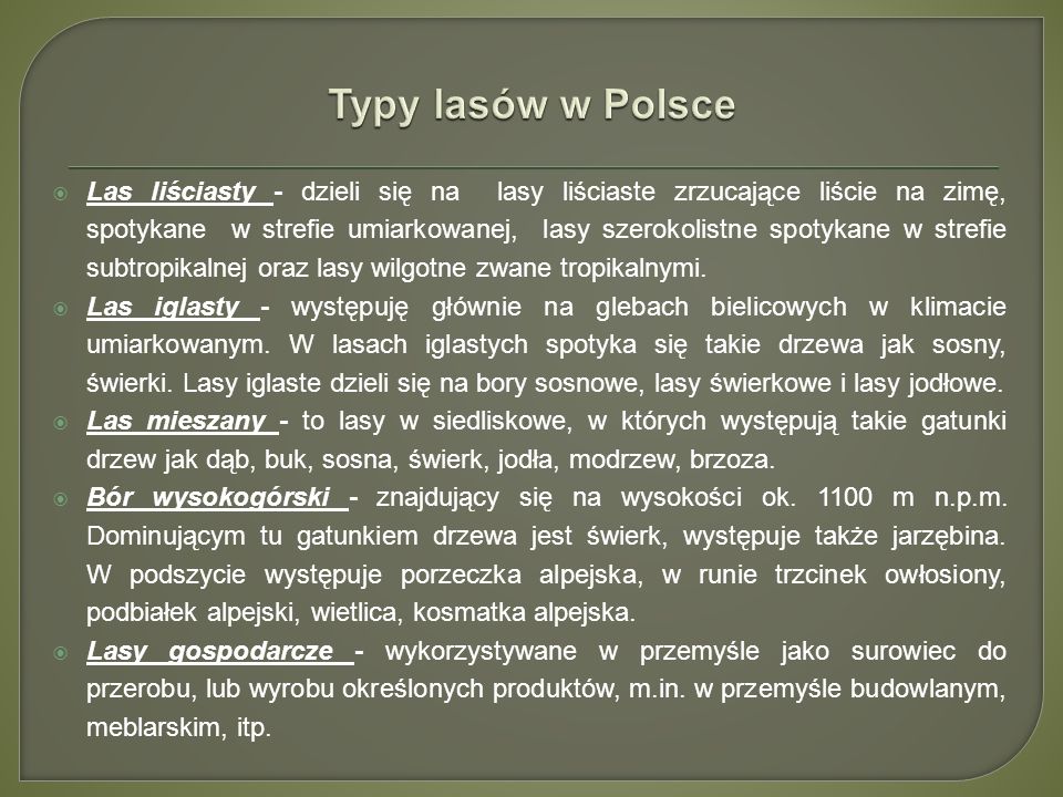 Typy lasów w Polsce