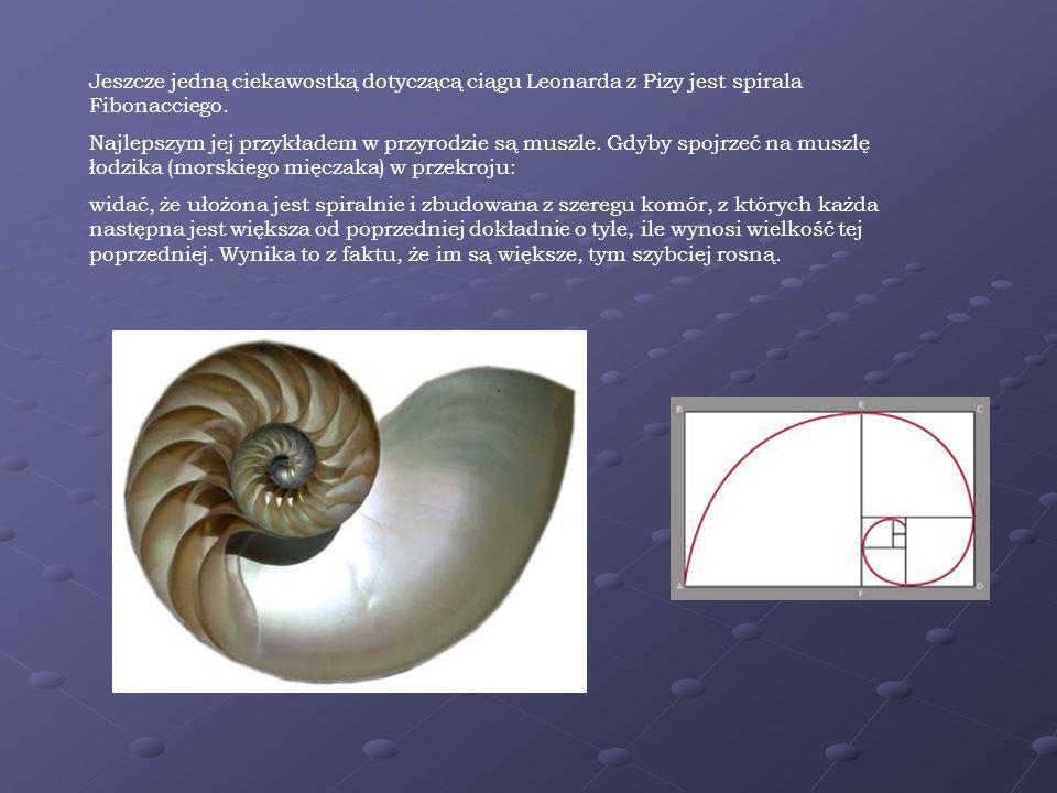 Jeszcze jedną ciekawostką dotyczącą ciągu Leonarda z Pizy jest spirala Fibonacciego.