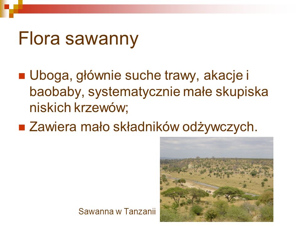 Flora sawanny Uboga, głównie suche trawy, akacje i baobaby, systematycznie małe skupiska niskich krzewów;
