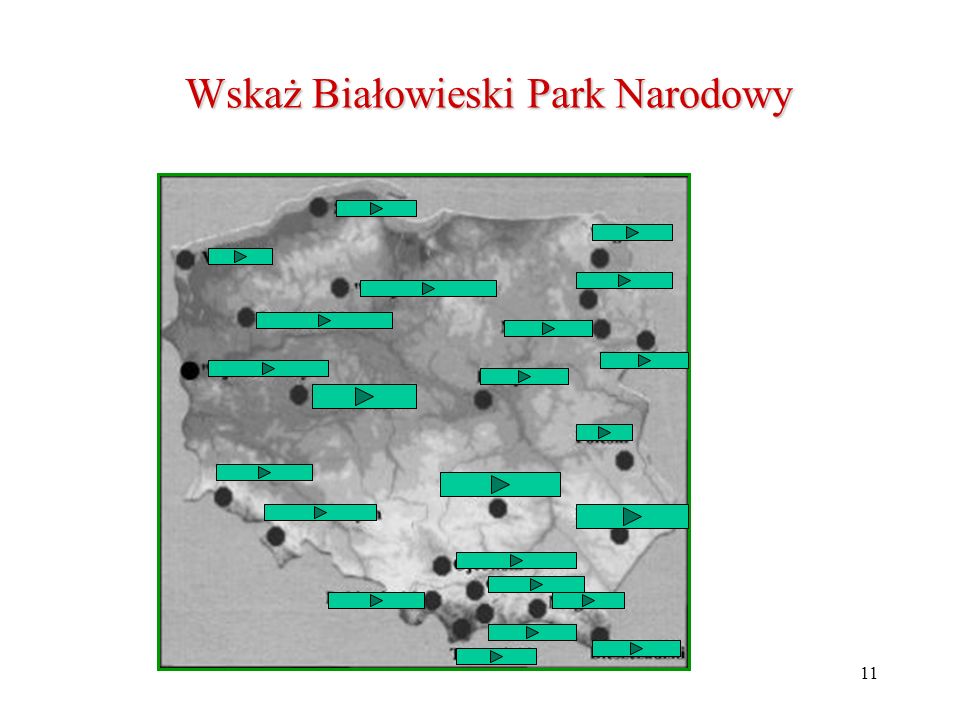Wskaż Białowieski Park Narodowy