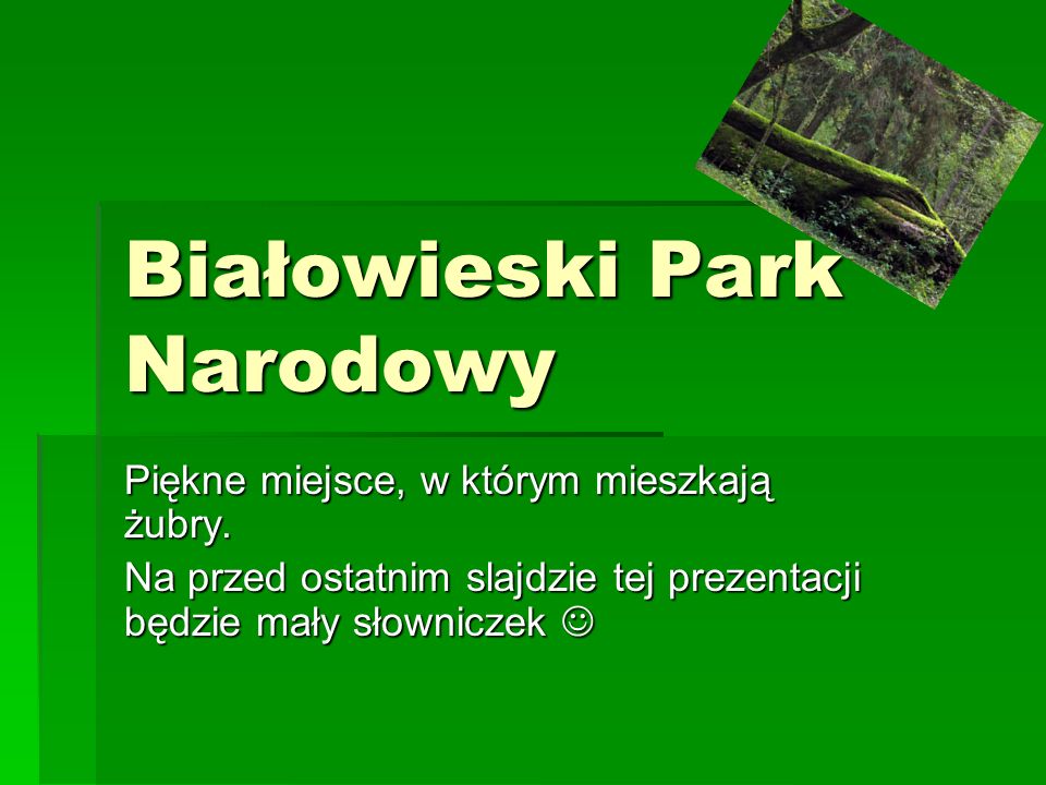 Białowieski Park Narodowy