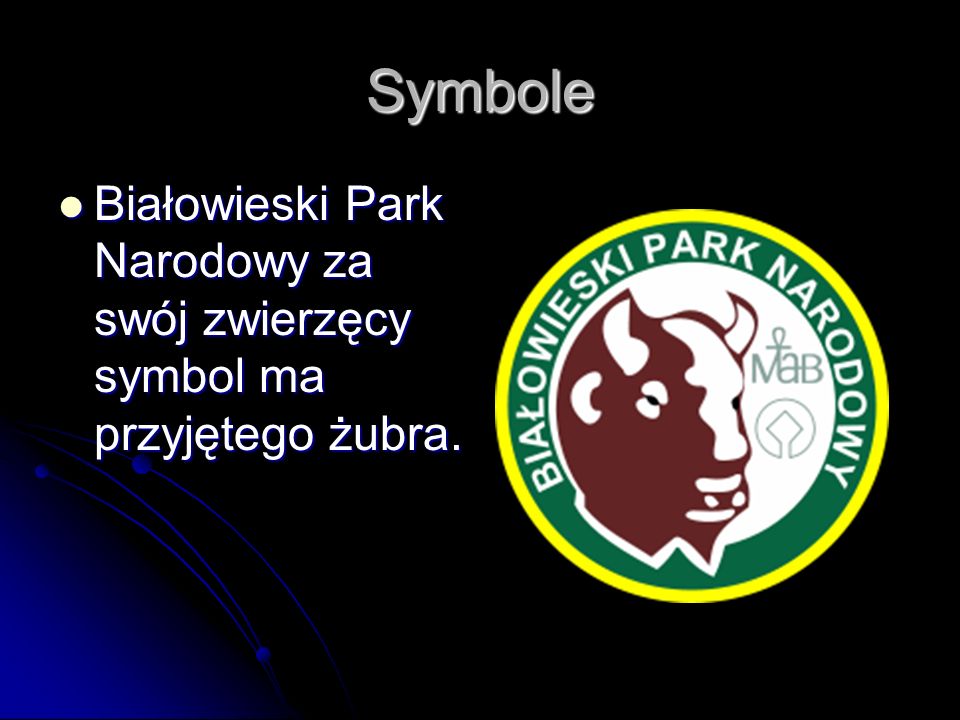 Symbole Białowieski Park Narodowy za swój zwierzęcy symbol ma przyjętego żubra.
